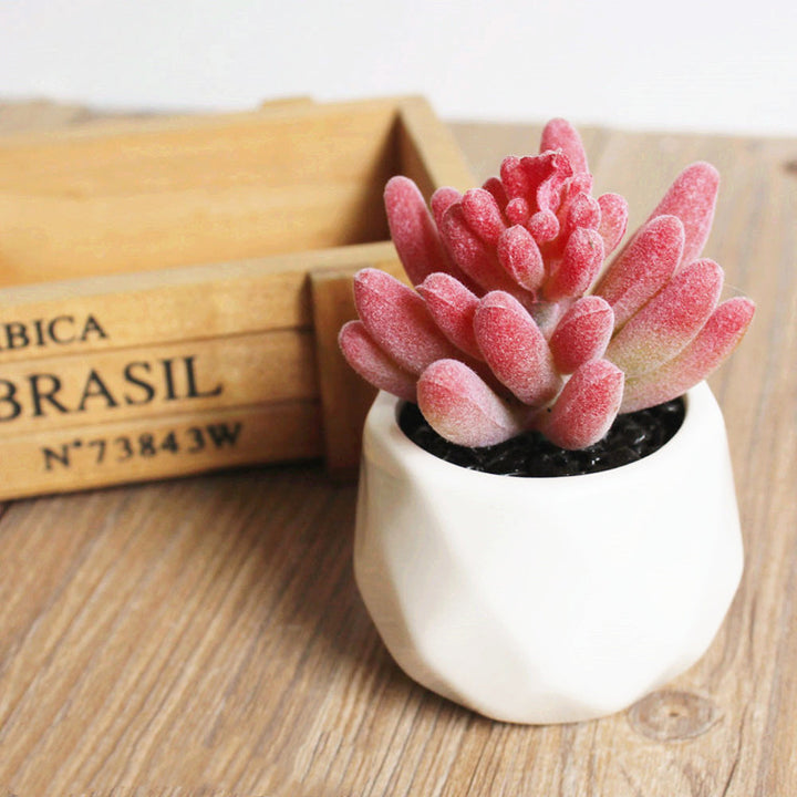 Artificial Succulent Bonsai Creative Ornaments for Home Table Garden Decoration Artificial Plants with Pot-Super Amazing Store