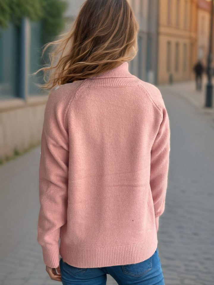 Solid Color Turtleneck Long Sleeve Sweater Trendsi