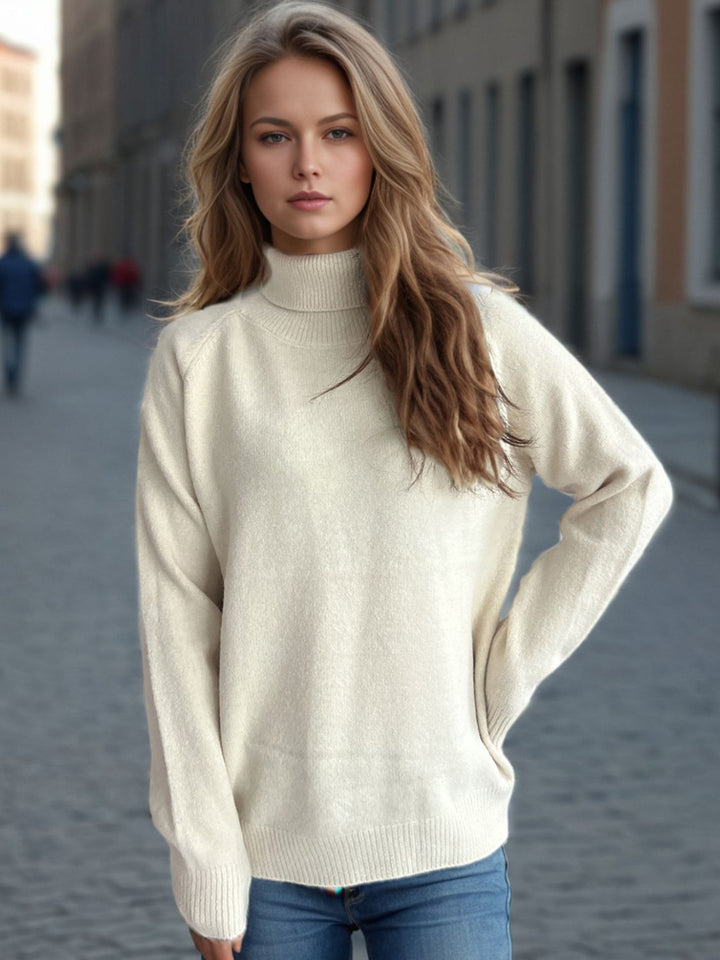 Solid Color Turtleneck Long Sleeve Sweater Trendsi