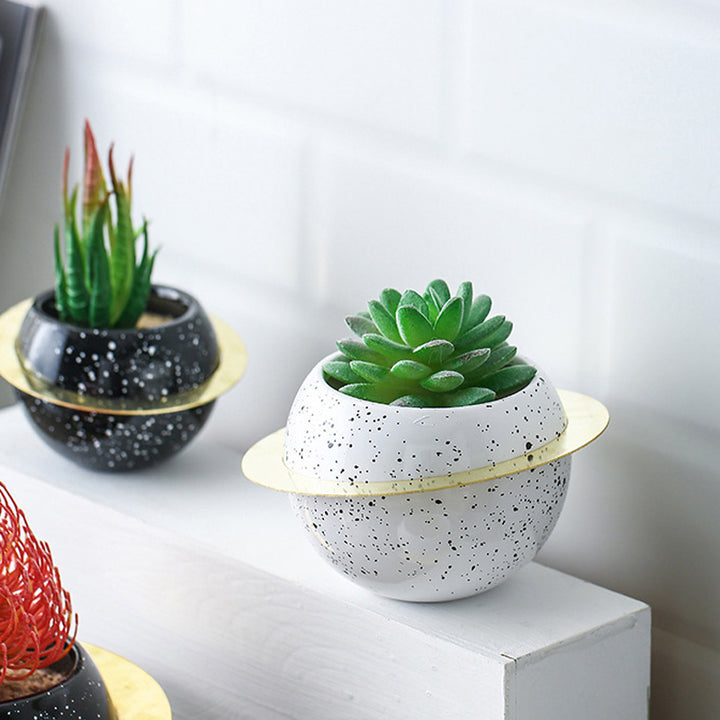 Creative desktop room decoration potted plants-Super Amazing Store