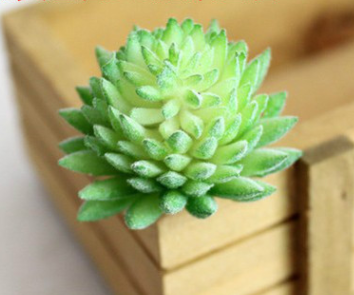 Indoor Succulent Green Plants Simulation Plants Decorative Flowers And Plants-Super Amazing Store