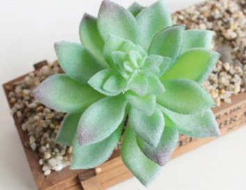 Indoor Succulent Green Plants Simulation Plants Decorative Flowers And Plants-Super Amazing Store