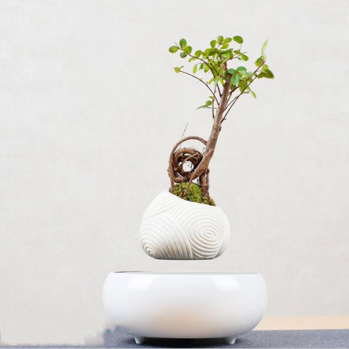 Magnetic Levitation Potted Plants-Super Amazing Store