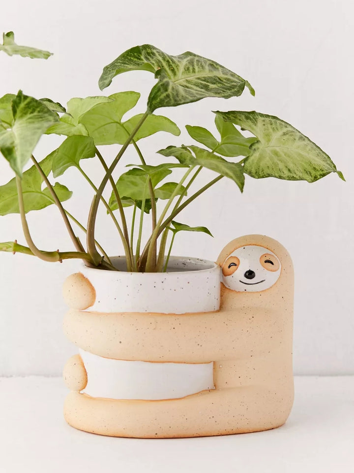 Cute Slot Design Plant Potted Plants-Super Amazing Store