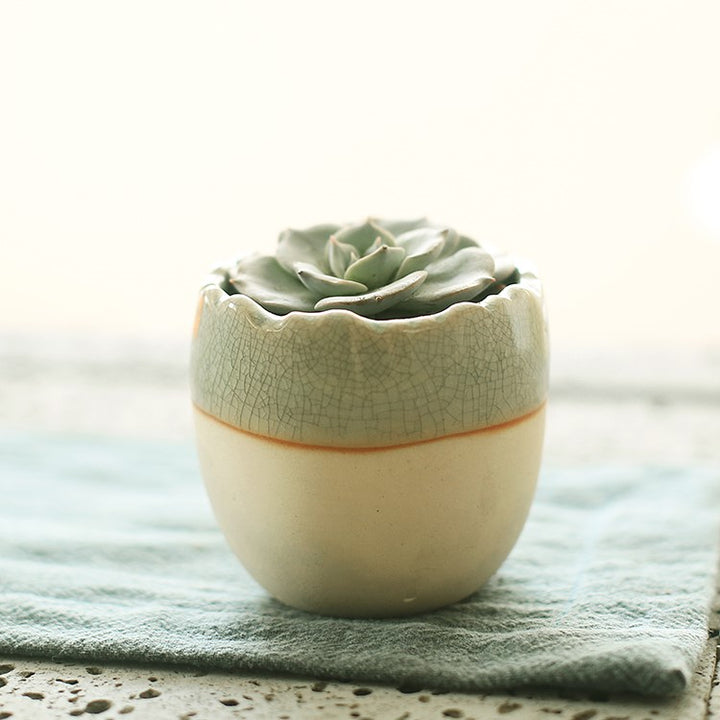 Succulent flowerpot furniture indoor potted plants-Super Amazing Store