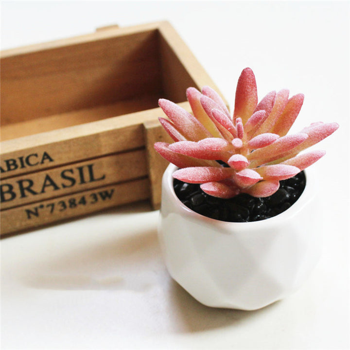 Artificial Succulent Bonsai Creative Ornaments for Home Table Garden Decoration Artificial Plants with Pot-Super Amazing Store