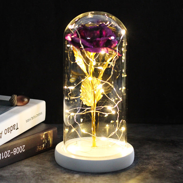 Glass Shade Rose Lamp