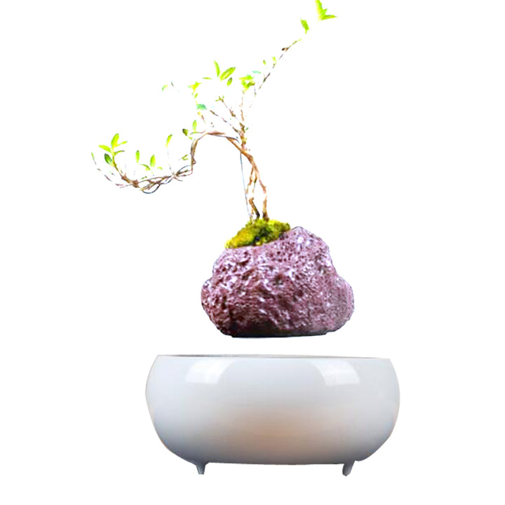 Magnetic Levitation Potted Plants-Super Amazing Store