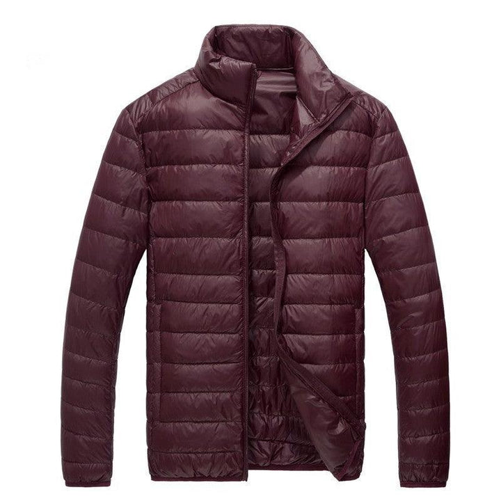 Down Jacket Men Fall Winter Men's Youth Lightweight Stand-up - Super Amazing Store