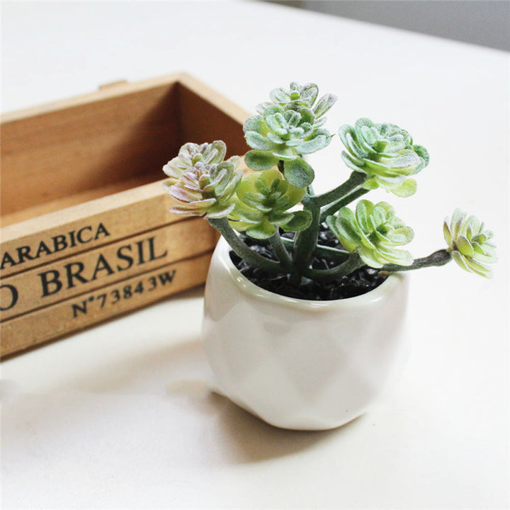 Artificial Succulent Bonsai Creative Ornaments for Home Table Garden Decoration Artificial Plants with Pot-Super Amazing Store