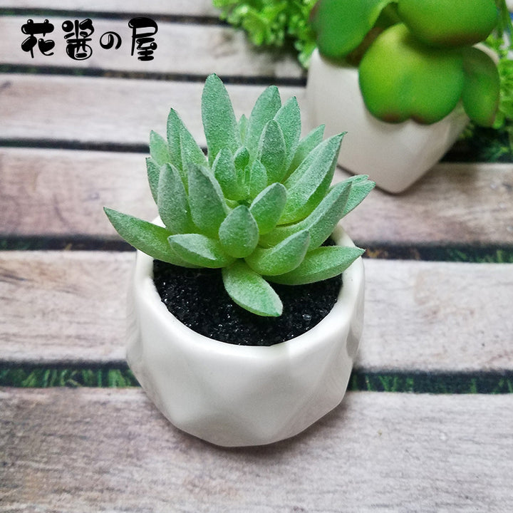 Artificial Succulent Bonsai Creative Ornaments for Home Table Garden Decoration Artificial Plants with Pot-Super Amazing Store