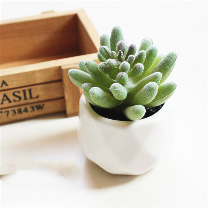 Artificial Succulent Bonsai Creative Ornaments for Home Table Garden Decoration Artificial Plants with Pot-Super Amazing Store