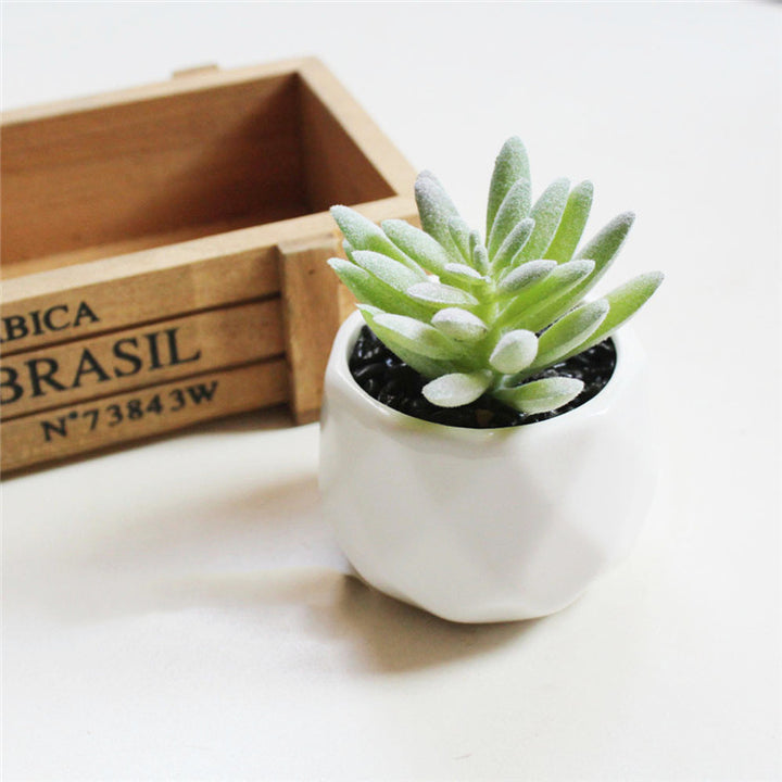 Artificial Succulent Bonsai Creative Ornaments for Home Table Garden Decoration Artificial Plants with Pot-Super Amazing Store