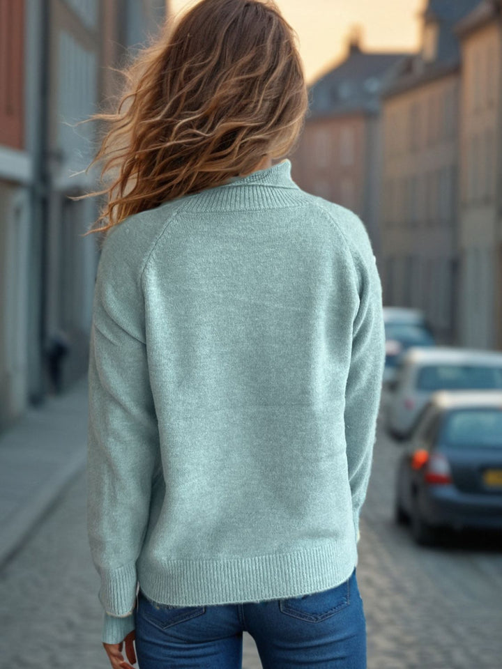 Solid Color Turtleneck Long Sleeve Sweater Trendsi