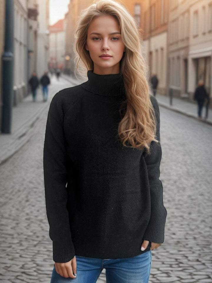 Solid Color Turtleneck Long Sleeve Sweater Trendsi