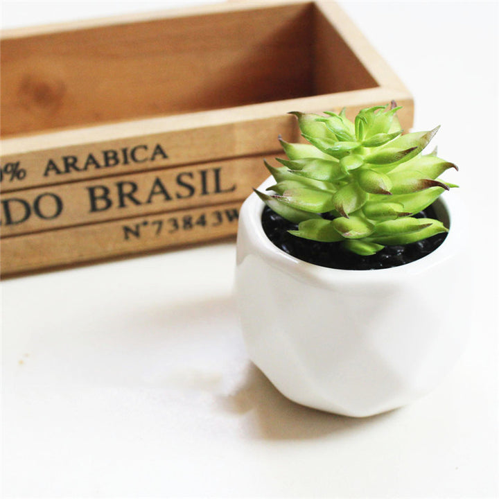 Artificial Succulent Bonsai Creative Ornaments for Home Table Garden Decoration Artificial Plants with Pot-Super Amazing Store