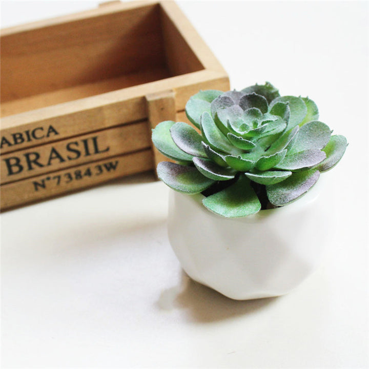 Artificial Succulent Bonsai Creative Ornaments for Home Table Garden Decoration Artificial Plants with Pot-Super Amazing Store