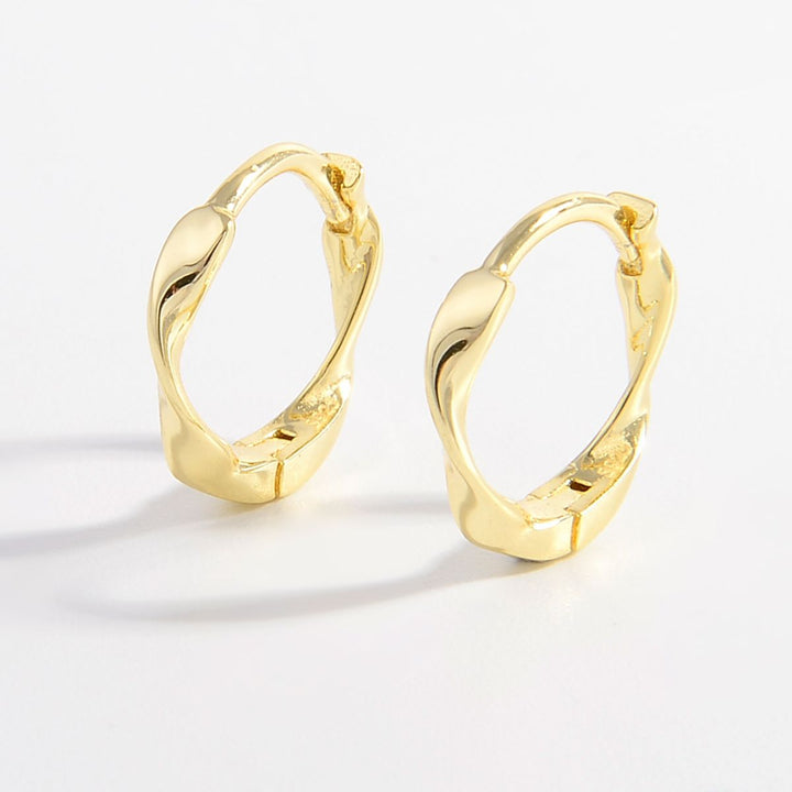 925 Sterling Silver Hoop Earrings Trendsi