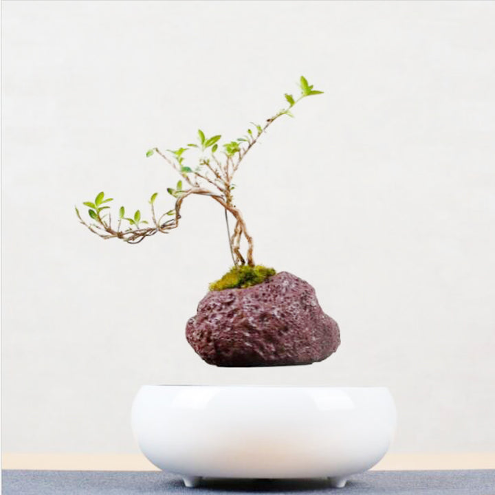 Magnetic Levitation Potted Plants-Super Amazing Store