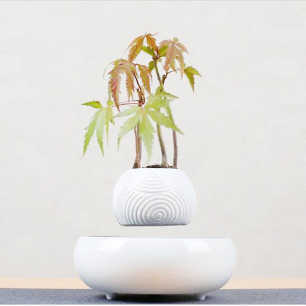 Magnetic Levitation Potted Plants-Super Amazing Store