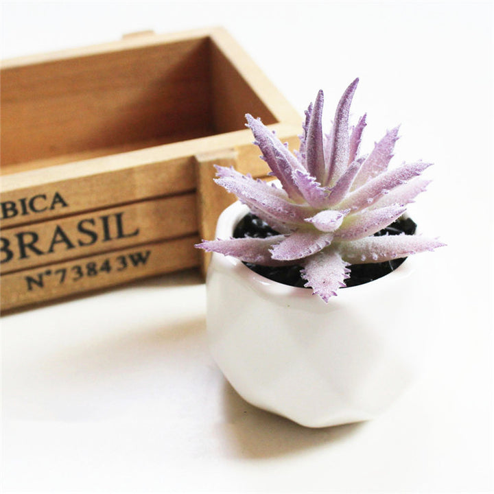 Artificial Succulent Bonsai Creative Ornaments for Home Table Garden Decoration Artificial Plants with Pot-Super Amazing Store