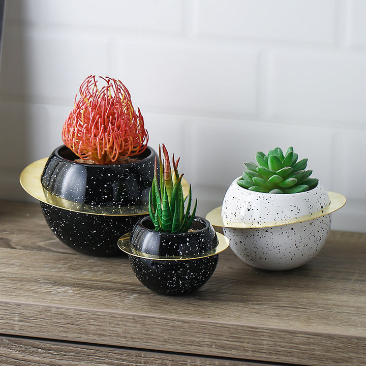 Creative desktop room decoration potted plants-Super Amazing Store