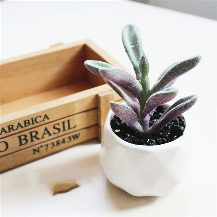 Artificial Succulent Bonsai Creative Ornaments for Home Table Garden Decoration Artificial Plants with Pot-Super Amazing Store