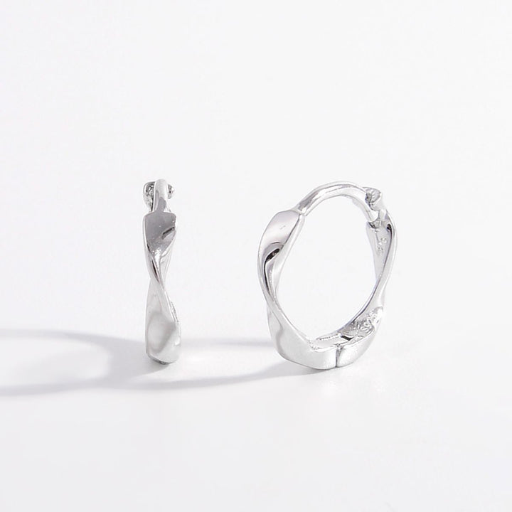 925 Sterling Silver Hoop Earrings Trendsi