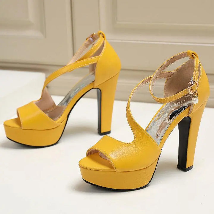 Roman Shoes With Thick Heels For Women - Super Amazing Store