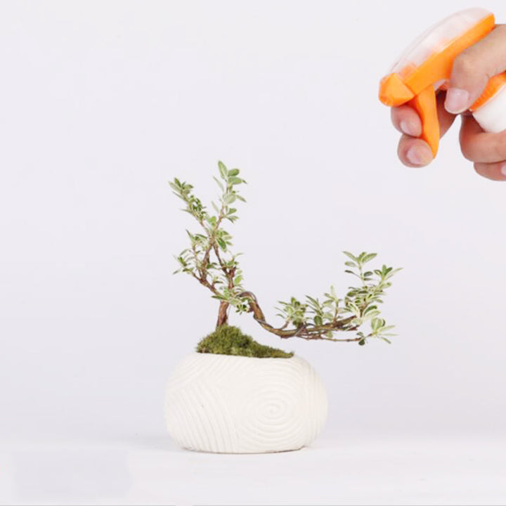 Magnetic Levitation Potted Plants-Super Amazing Store