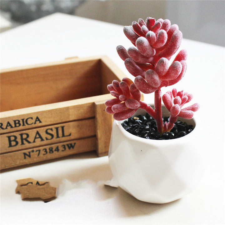 Artificial Succulent Bonsai Creative Ornaments for Home Table Garden Decoration Artificial Plants with Pot-Super Amazing Store