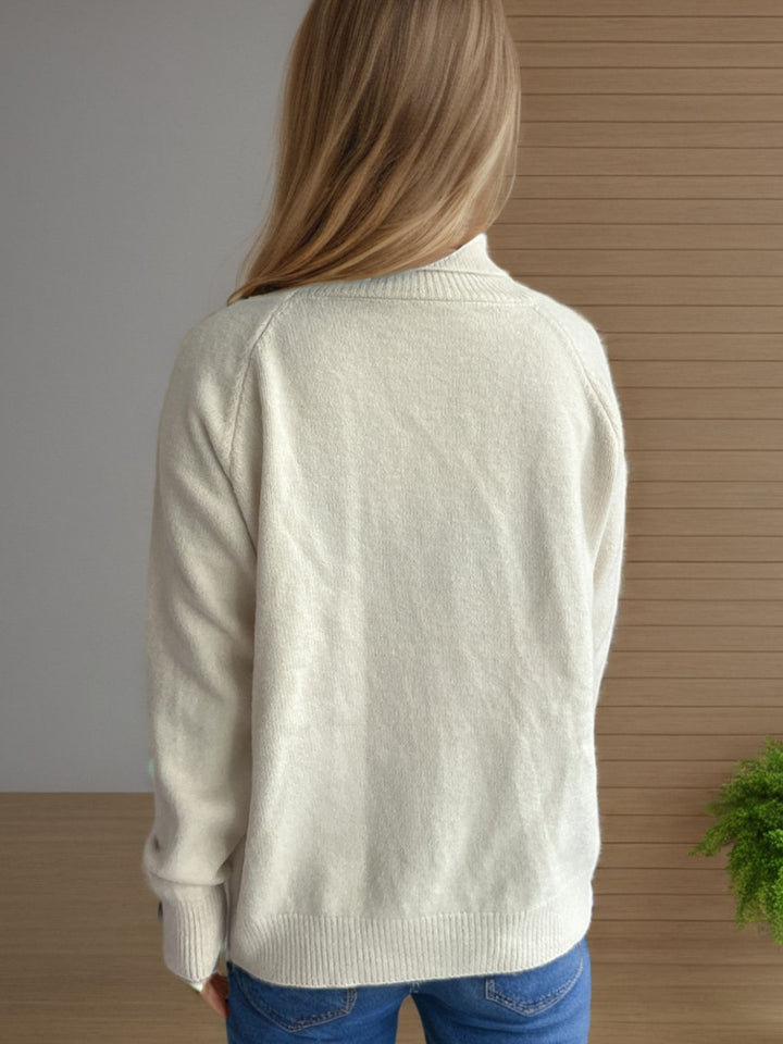 Solid Color Turtleneck Long Sleeve Sweater Trendsi