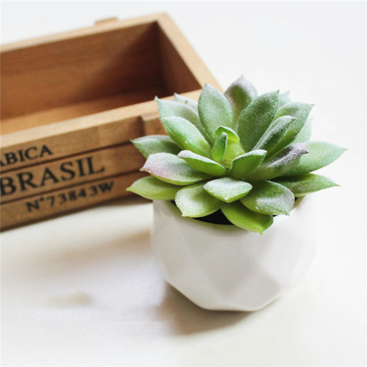 Artificial Succulent Bonsai Creative Ornaments for Home Table Garden Decoration Artificial Plants with Pot-Super Amazing Store