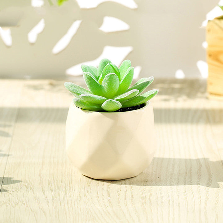 Artificial Succulent Bonsai Creative Ornaments for Home Table Garden Decoration Artificial Plants with Pot-Super Amazing Store