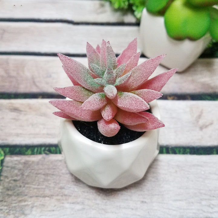 Artificial Succulent Bonsai Creative Ornaments for Home Table Garden Decoration Artificial Plants with Pot-Super Amazing Store