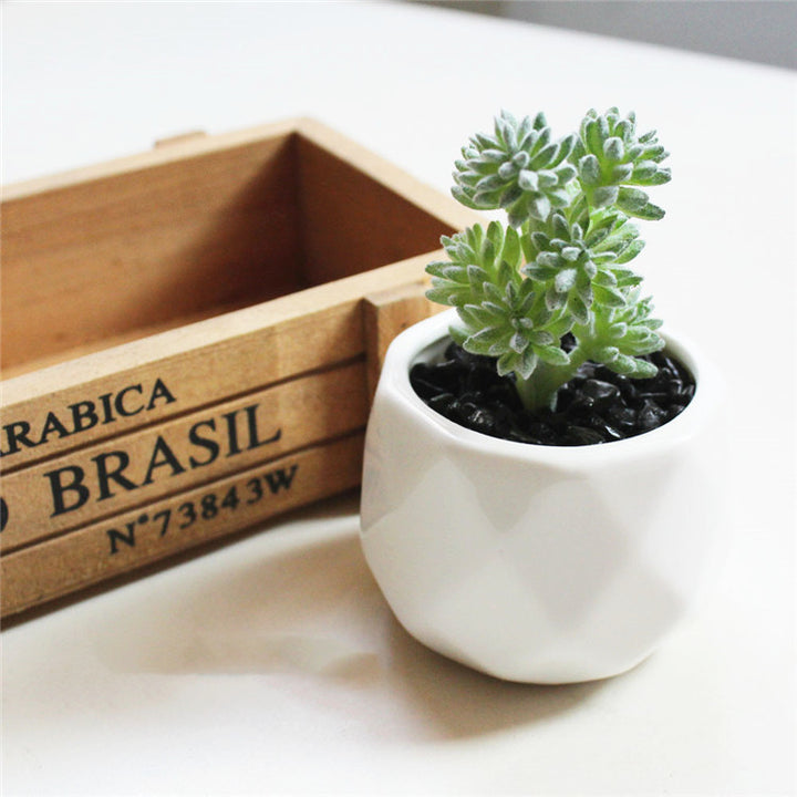 Artificial Succulent Bonsai Creative Ornaments for Home Table Garden Decoration Artificial Plants with Pot-Super Amazing Store