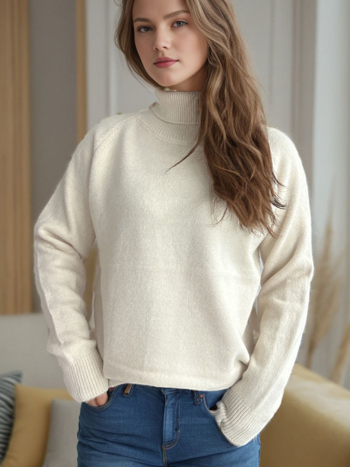 Solid Color Turtleneck Long Sleeve Sweater Trendsi