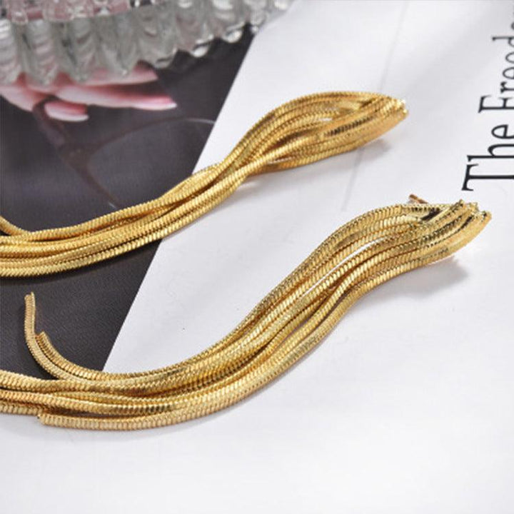 Long Fringe Earrings Female Accessories - Super Amazing Store