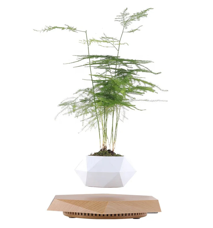 High Quality Decoration Topiary Plants Artificial Thuja Cypress Tree Magnetic Levitation Floating Bonsai-Super Amazing Store